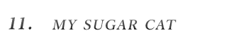 No.11